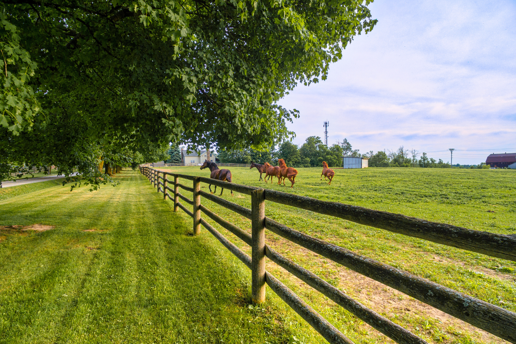 Fence Contractors in The Colony TX | Veteran Brothers Fence Co.