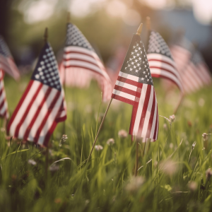 Fence Contractors in The Colony TX | Veteran Brothers Fence Co.